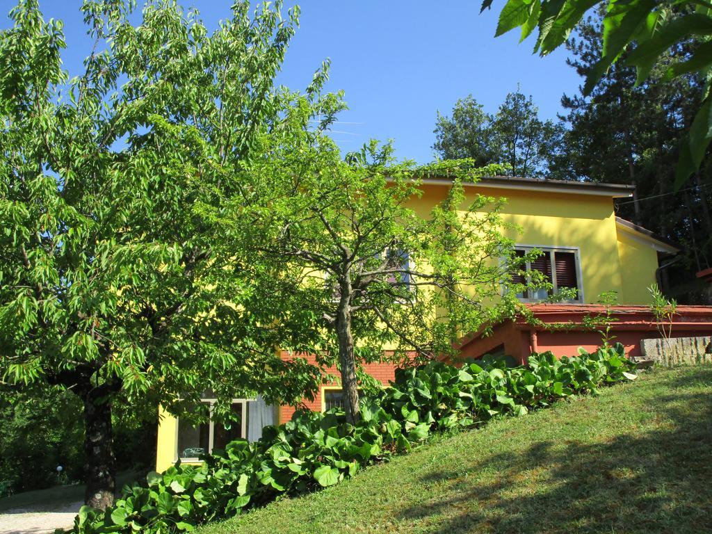 Casa Balducci Bed&Breakfast Mercatello sul Metauro Dış mekan fotoğraf