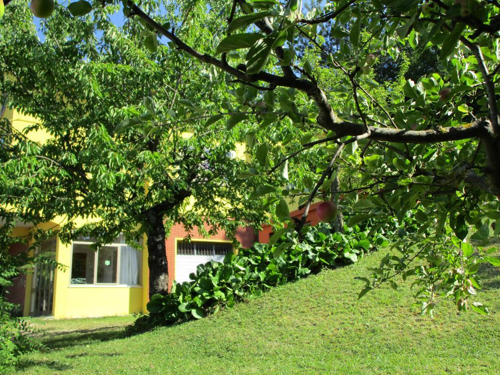 Casa Balducci Bed&Breakfast Mercatello sul Metauro Dış mekan fotoğraf